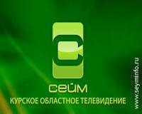 Мэр Курска выступил с отчетом перед депутатами горсобрания